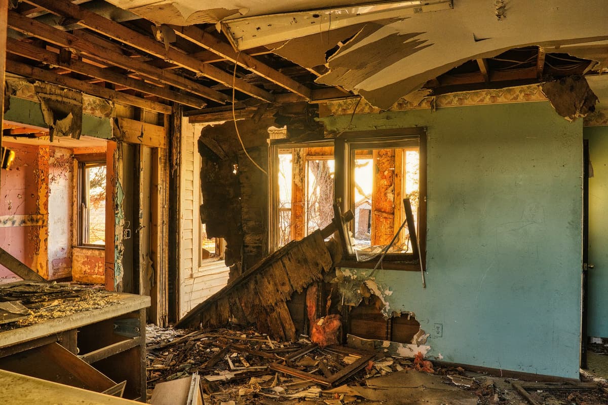 Tree Damage Repair
