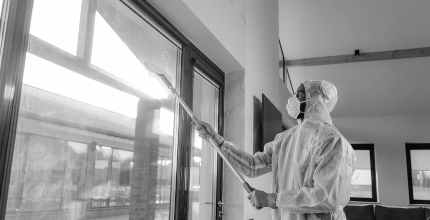 Don’t Let Mold Take Over: Hire DRS Renovation for Comprehensive Mold Remediation