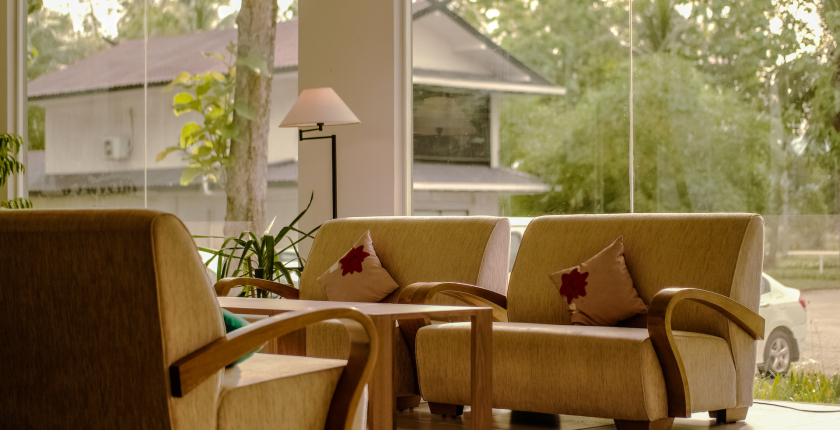 Restore Your Roof After Tree Damage with DRS Renovation!