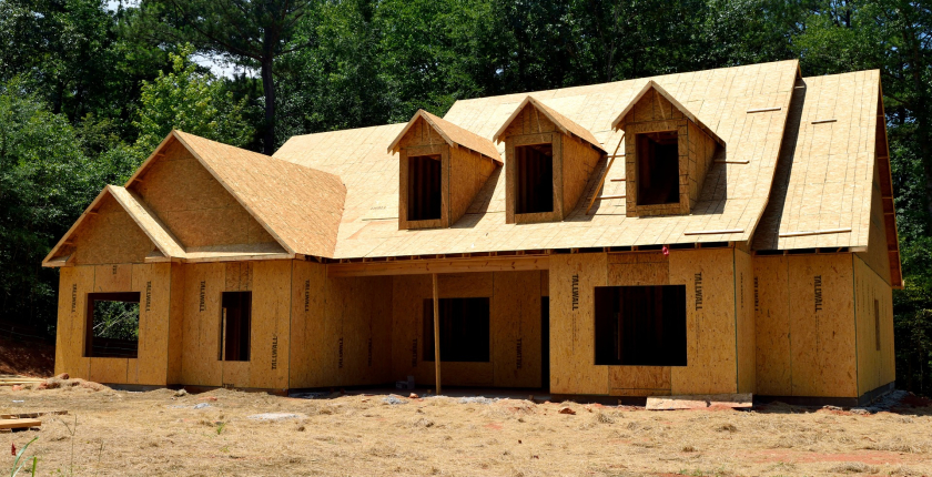 The Importance of Tree Maintenance for Home Safety